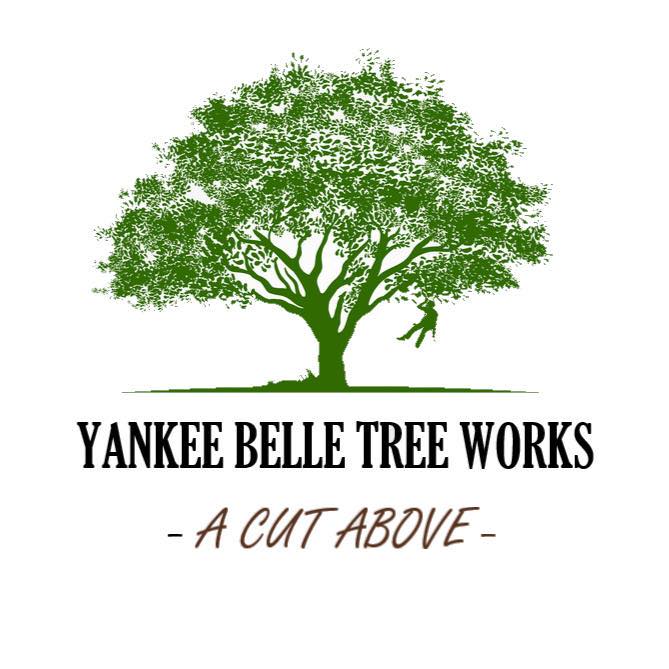 Yankee Belle Tree Works